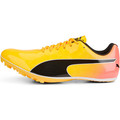Puma evoSpeed Sprint 14