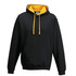 Three Choirs Festival Chorus 2025 Adult Hoody