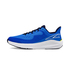 Altra Experience Form